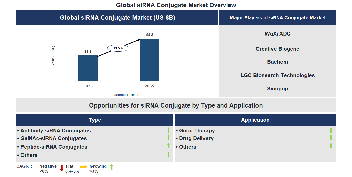 siRNA Conjugate Market Trends and Forecast